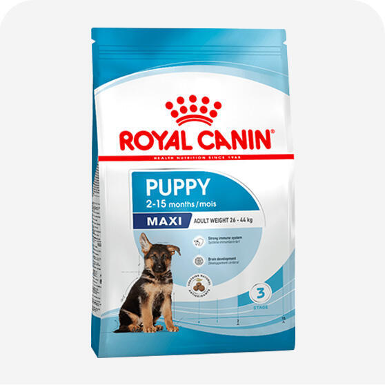 Royal Canin Yavru Köpek Maması