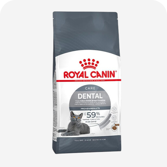 Royal Canin Yetişkin Kedi Maması