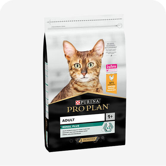 Yetişkin Kedi Maması