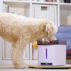 Aclıum Hareket Sensörlü Sessiz Köpek Su Sebili - 2