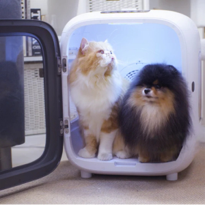 Aclium Kedi ve Köpek Kurutma Makinesi - 35W Profesyonel Bakım - 2