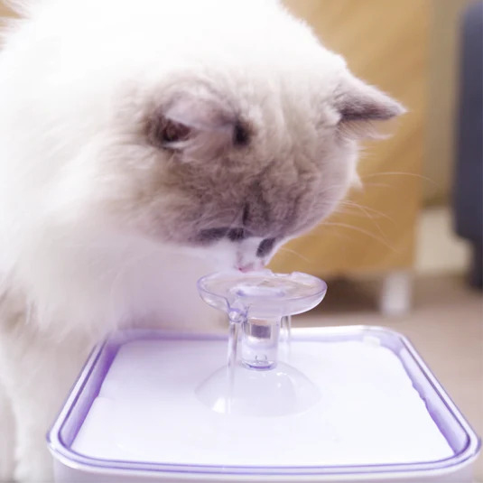 Aclıum Otomatik Şelale Tipi Kedi Su Sebili - 2