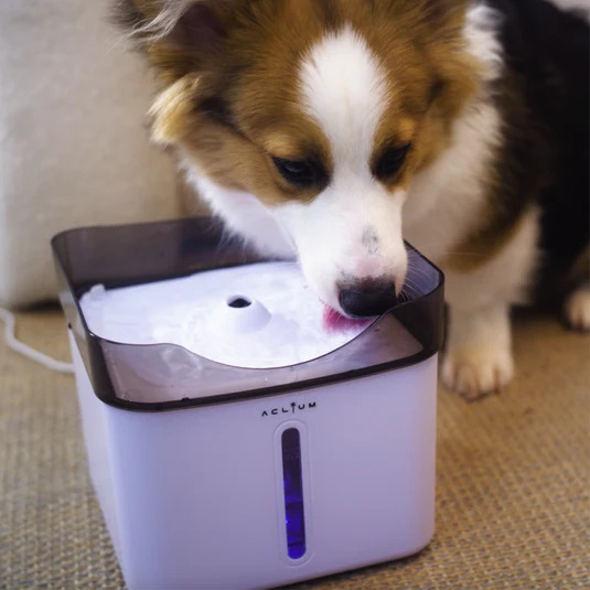 Aclıum Otomatik Şelale Tipi Köpek Su Sebili - 2