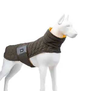 Air Puff Mango Köpek Montu Beden 4