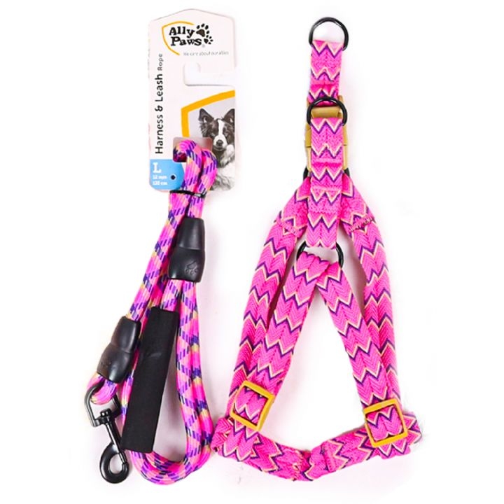 Ally Paws Köpek Göğüs ve Gezdirme Tasması (L) 12 mm x 120 cm
