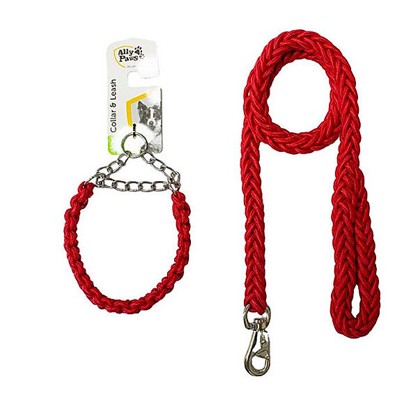 Ally Paws Tasma ve Gezdirme Kayışı Seti 2 x 120 cm (M)