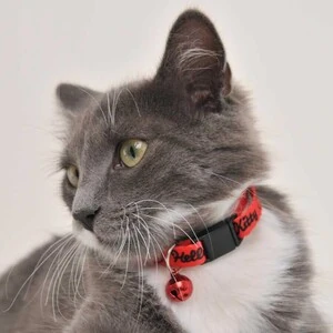 Hello Kitty Boyun Tasması 1 Cm Kırmızı Siyah - 4