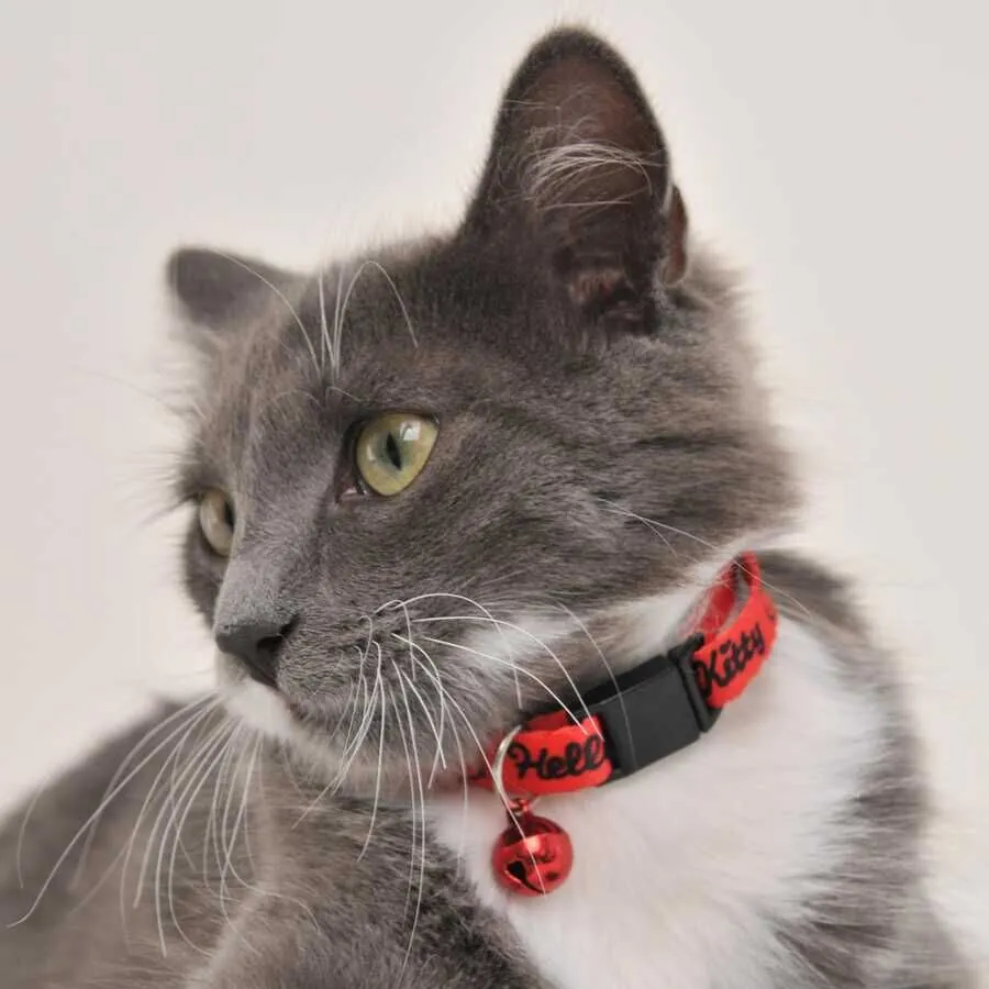 Hello Kitty Boyun Tasması 1 Cm Kırmızı Siyah - 4