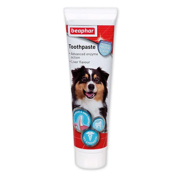 Beaphar Köpek Diş Macunu 100 ml - 1