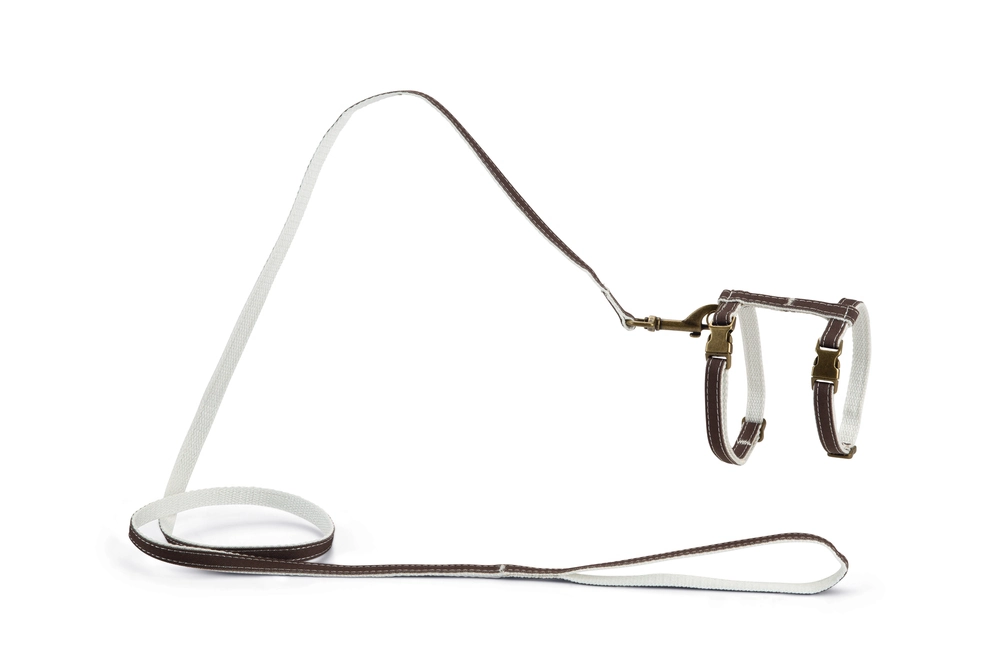 Beeztees DBL Kedi Göğüs Tasması ve Gezdirme Kayışı, 130cm, Kahverengi, 27-45cm - 1