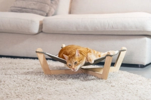 Beeztees DBL Kedi Hamağı, Gri, 51x51x18,5cm - 2