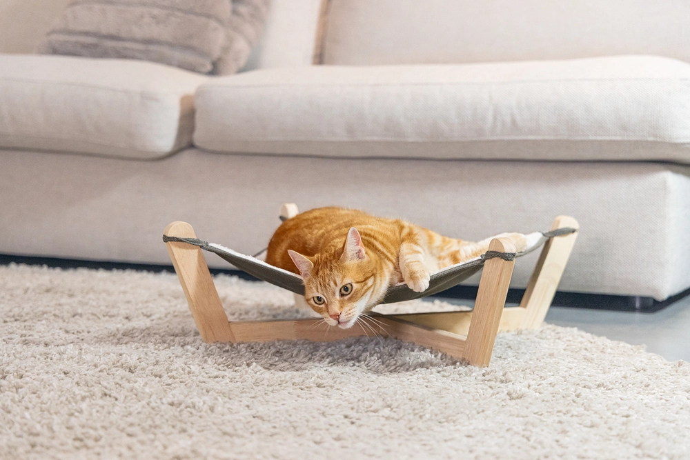 Beeztees DBL Kedi Hamağı, Gri, 51x51x18,5cm - 2