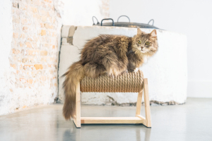 Beeztees DBL Kedi Tırmalama, 36x29,5x28cm - 4