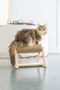 Beeztees DBL Kedi Tırmalama, 36x29,5x28cm - 5