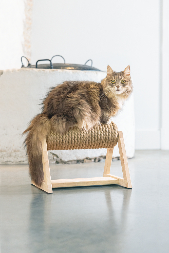 Beeztees DBL Kedi Tırmalama, 36x29,5x28cm - 5