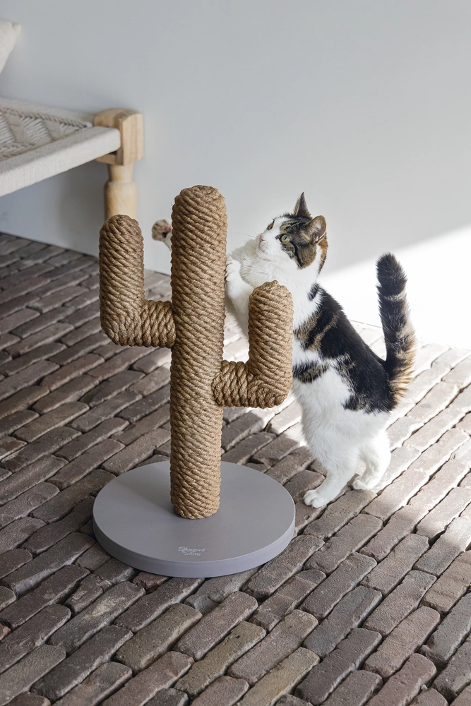 Beeztees DBL Kedi Tırmalama, Boz Kahverengi, 35x35x60cm - 2