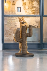 Beeztees DBL Kedi Tırmalama, Boz Siyah, 35x35x60cm - 2