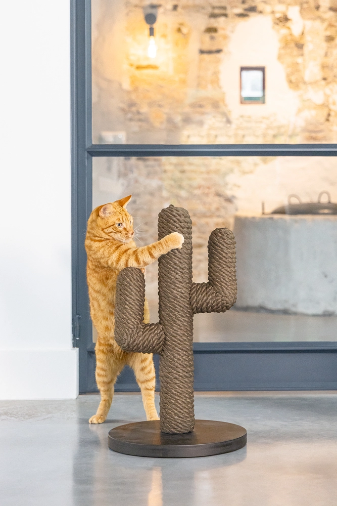 Beeztees DBL Kedi Tırmalama, Boz Siyah, 35x35x60cm - 3