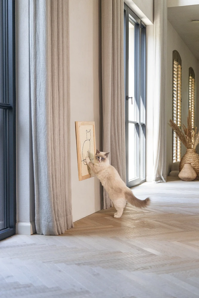 Beeztees DBL Kedi Tırmalama Tahtası, 50x40x2cm - 2