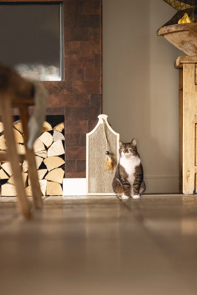 Beeztees DBL Kedi Tırmalama Tahtası ve Oyuncağı, 50x20x2cm - 2