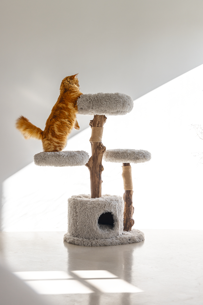 Beeztees DBL Kedi Tırmalama ve Oyun Evi, Doğal, 60x45x100cm - 3