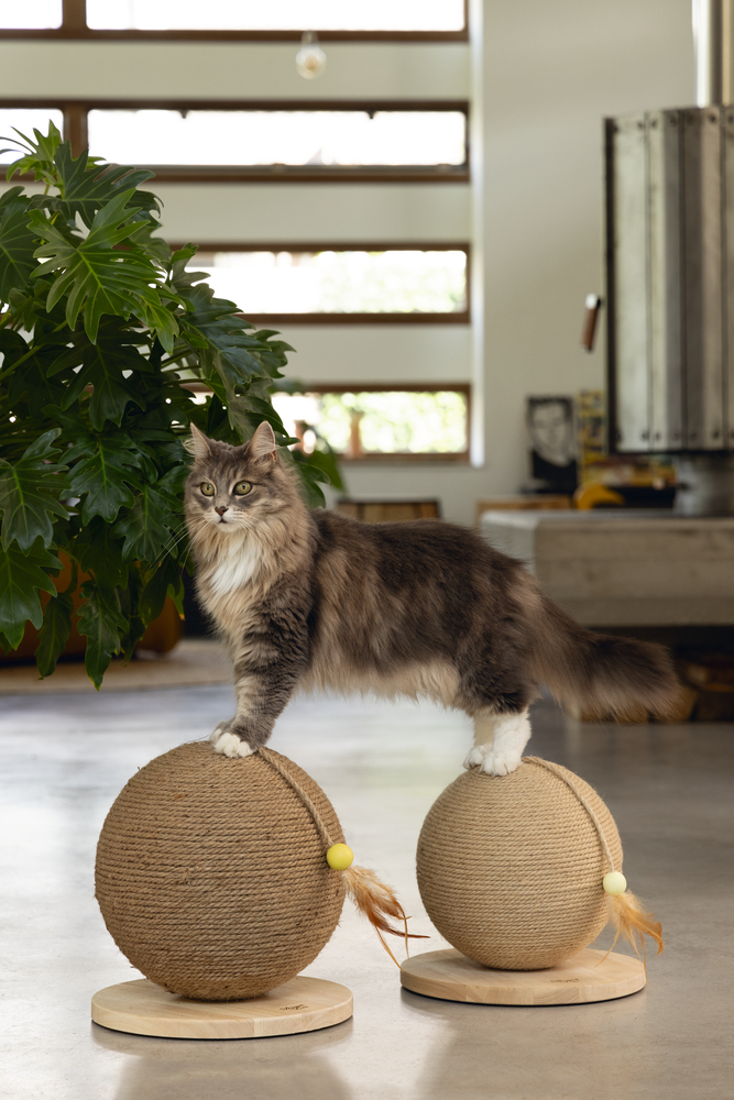 Beeztees DBL Kedi Tırmalama ve Oyuncağı, 30x30x27cm - 3