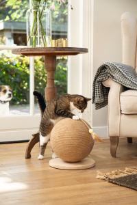 Beeztees DBL Kedi Tırmalama ve Oyuncağı, 30x31x31,5cm - 2
