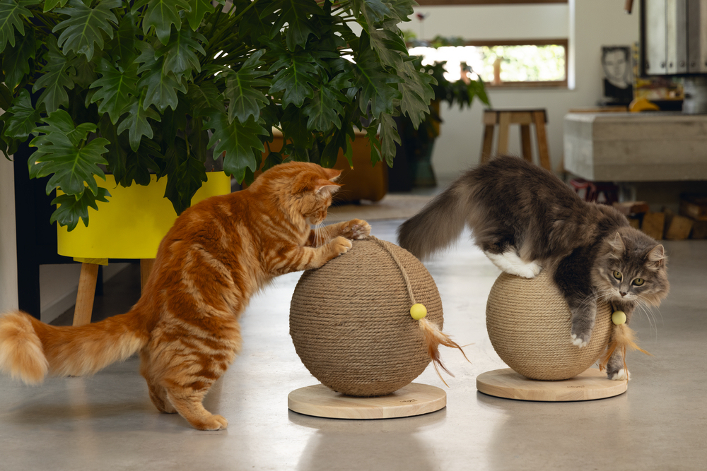 Beeztees DBL Kedi Tırmalama ve Oyuncağı, 30x31x31,5cm - 3