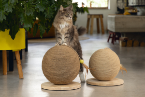 Beeztees DBL Kedi Tırmalama ve Oyuncağı, 30x31x31,5cm - 5