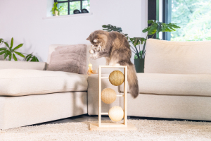 Beeztees DBL Kedi Tırmalama ve Oyuncağı, 34,5x29,5x50cm - 3