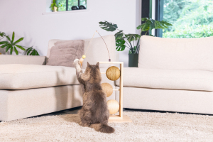 Beeztees DBL Kedi Tırmalama ve Oyuncağı, 34,5x29,5x50cm - 4