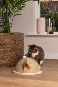 Beeztees DBL Kedi Tırmalama ve Oyuncağı, 34,5x34,5x18cm - 2