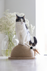 Beeztees DBL Kedi Tırmalama ve Oyuncağı, 34,5x34,5x18cm - 3