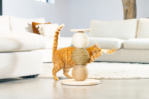 Beeztees DBL Kedi Tırmalama ve Oyuncağı, 34x34x47,5cm - 2