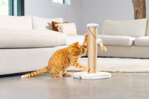 Beeztees DBL Kedi Tırmalama ve Oyuncağı, Açık Gri, 35x35x50cm - 3