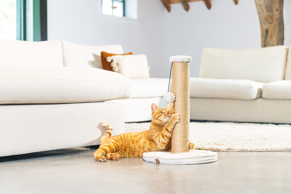 Beeztees DBL Kedi Tırmalama ve Oyuncağı, Açık Gri, 35x35x50cm - 5