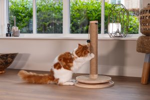 Beeztees DBL Kedi Tırmalama ve Oyuncağı, Kahverengi, 39,5x39,5x62cm - 3