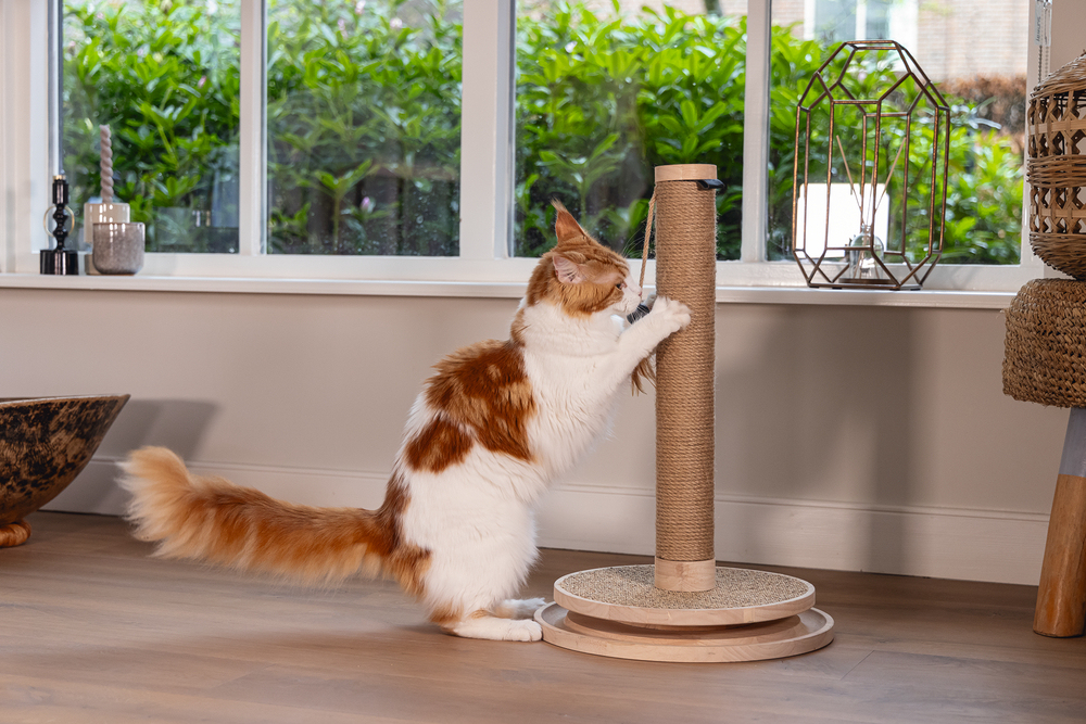 Beeztees DBL Kedi Tırmalama ve Oyuncağı, Kahverengi, 39,5x39,5x62cm - 5