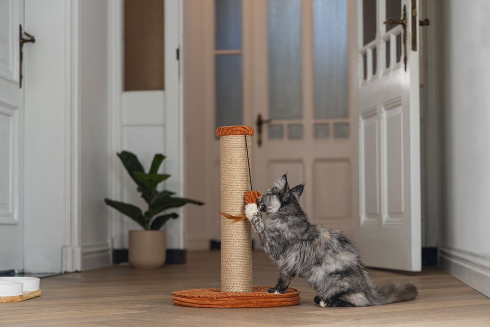 Beeztees DBL Kedi Tırmalama ve Oyuncağı, Toprak Rengi, 35x35x50cm - 4