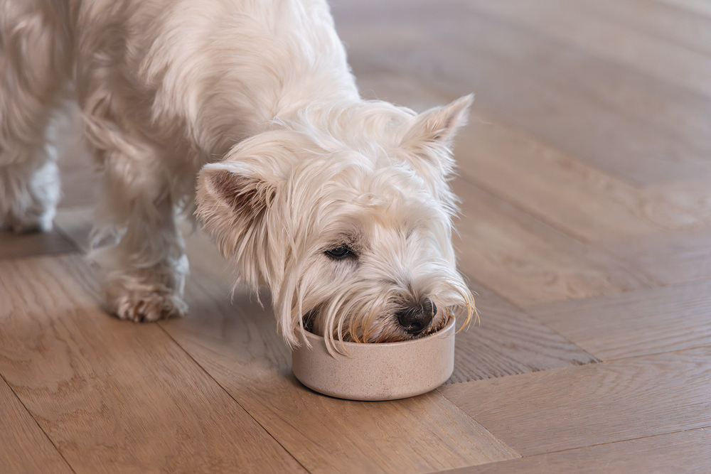 Beeztees DBL Köpek Mama Su Kabı, Bambu, Bej, 12cm, 300ml - 3