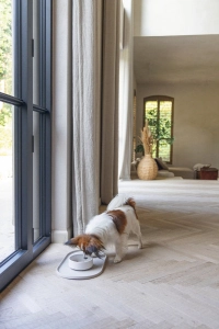 Beeztees DBL Köpek Mama Su Kabı, Bambu, Bej, 14cm, 410ml