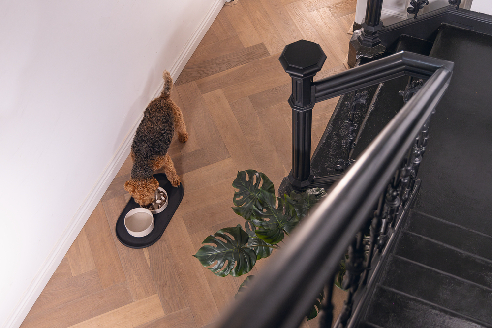 Beeztees DBL Köpek Mama Su Kabı, Bambu, Bej, 17cm, 800ml - 3