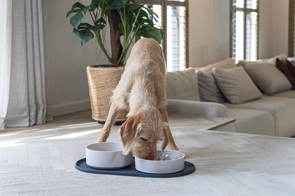 Beeztees DBL Köpek Mama Su Kabı, Bambu, Bej, 21cm, 1430ml - 2