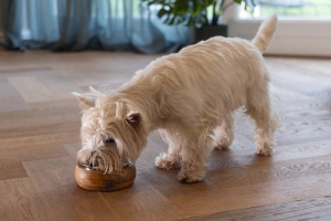 Beeztees DBL Köpek Mama Su Kabı, Dışı Masif Ahşap, Paslanmaz Çelik, 16,5cm, 650ml - 3