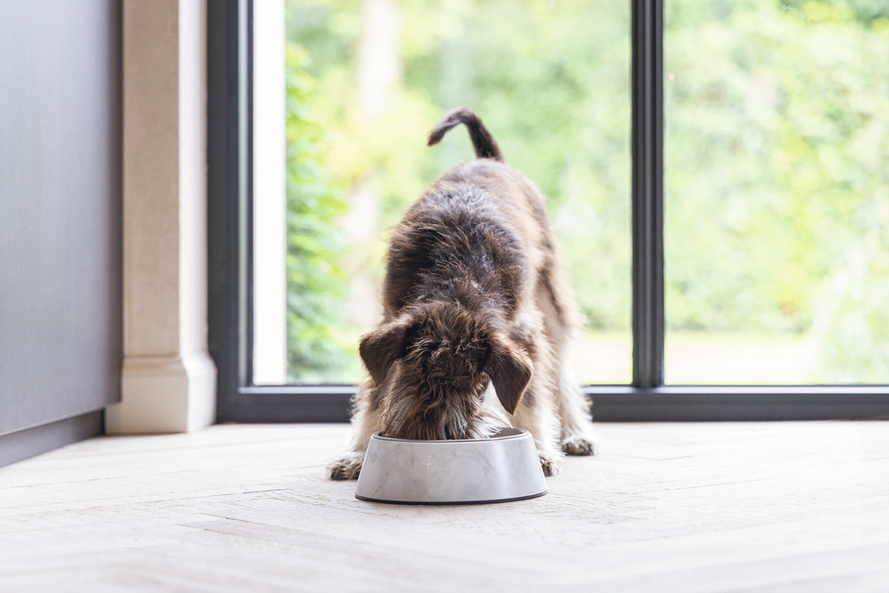 Beeztees DBL Köpek Mama Su Kabı, Mat Paslanmaz Çelik, Beyaz Mermer Görünümlü, 14cm, 160ml - 2