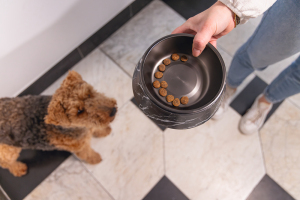 Beeztees DBL Köpek Mama Su Kabı, Mat Siyah Paslanmaz Çelik, Siyah Mermer Görünümlü, 17,5cm, 350ml - 2