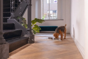 Beeztees DBL Köpek Mama Su Kabı, Seramik, Mat Gri, 16cm, 350ml - 5