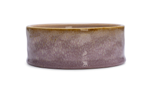 Beeztees DBL Köpek Mama Su Kabı, Seramik, Pembe, 13,5cm, 500ml - 3