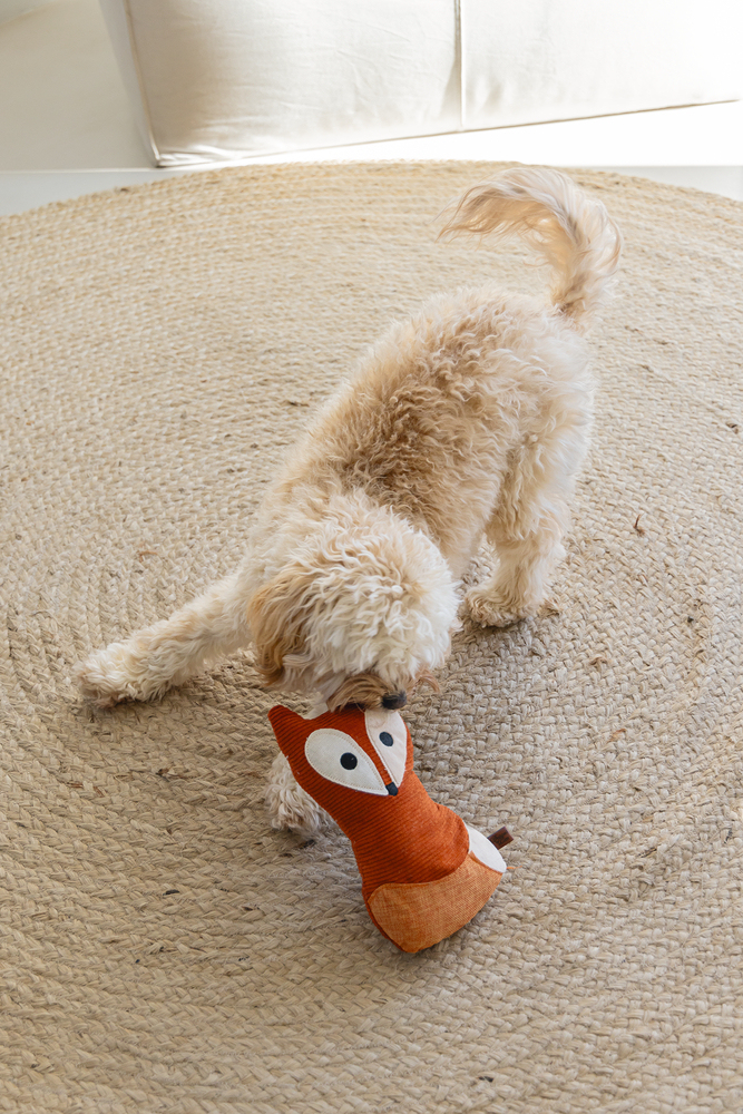 Beeztees DBL Köpek Oyuncağı, Sesli, Tilki, Peluş, Turuncu, 25,5cm - 2