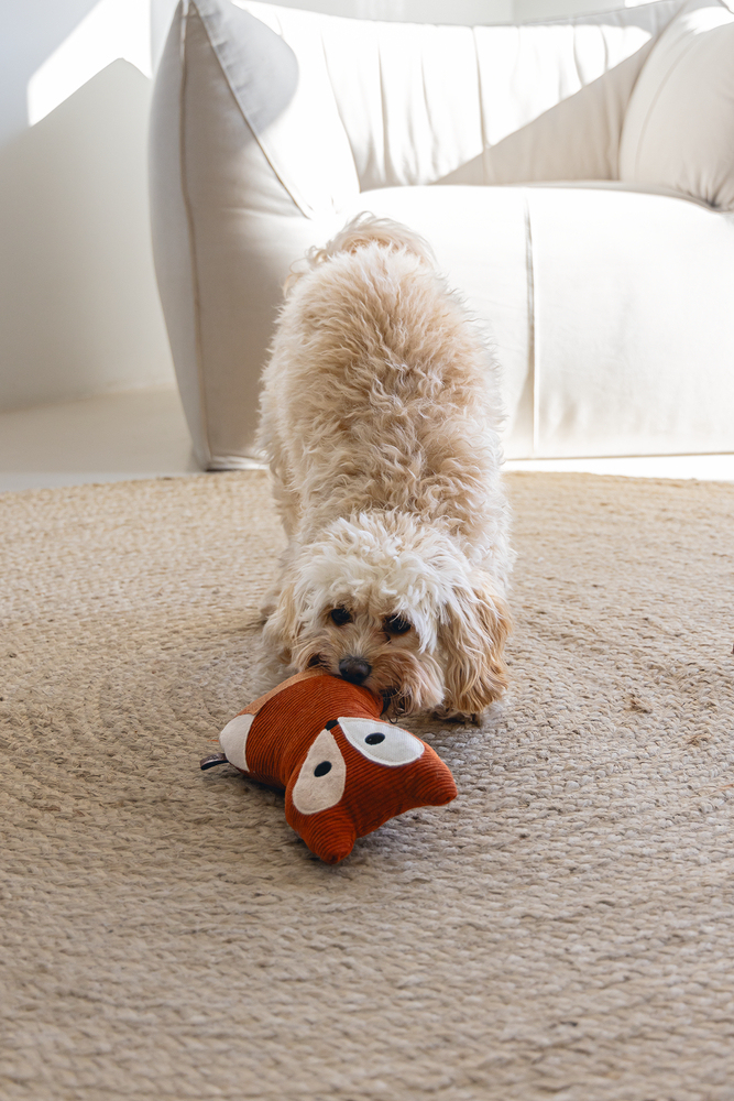 Beeztees DBL Köpek Oyuncağı, Sesli, Tilki, Peluş, Turuncu, 25,5cm - 4